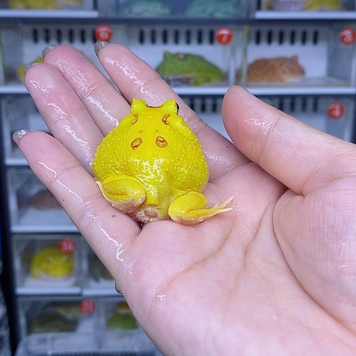 特价秒杀现货特价