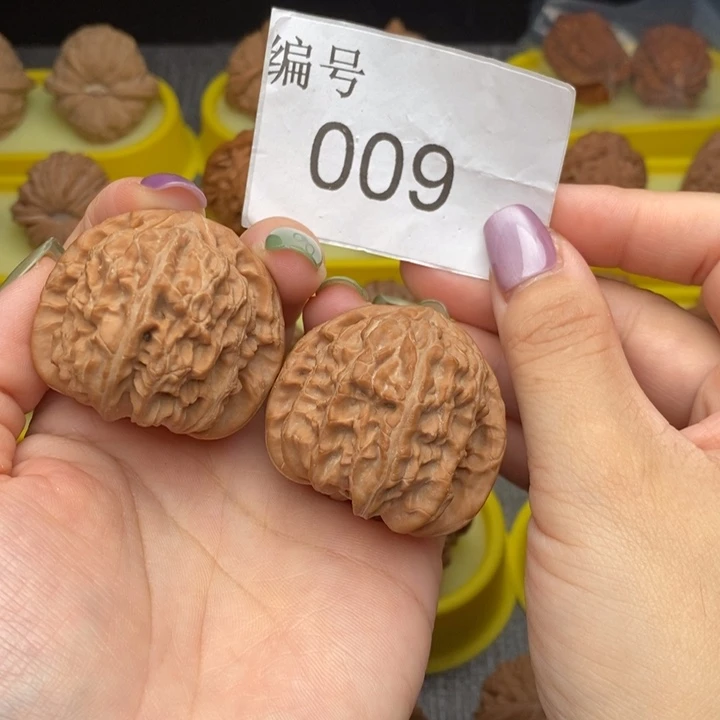 不***_把件文玩核桃009白狮子41尺全品