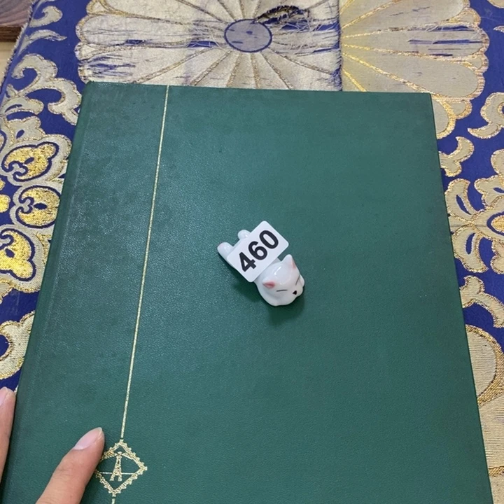 瓷片哦哦哦哦哦哦哦