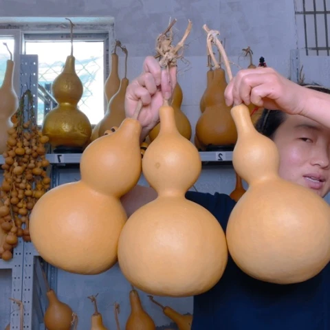 ?****?天然植物葫芦文玩