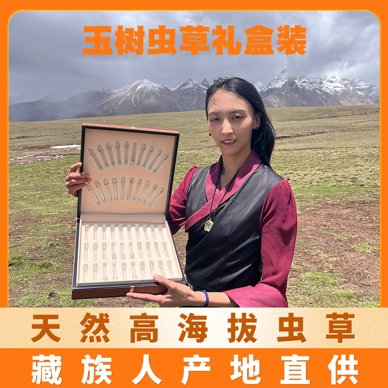 【玉树虫草礼盒装】草小二天然虫草 青海玉树官方旗舰店藏族人直供