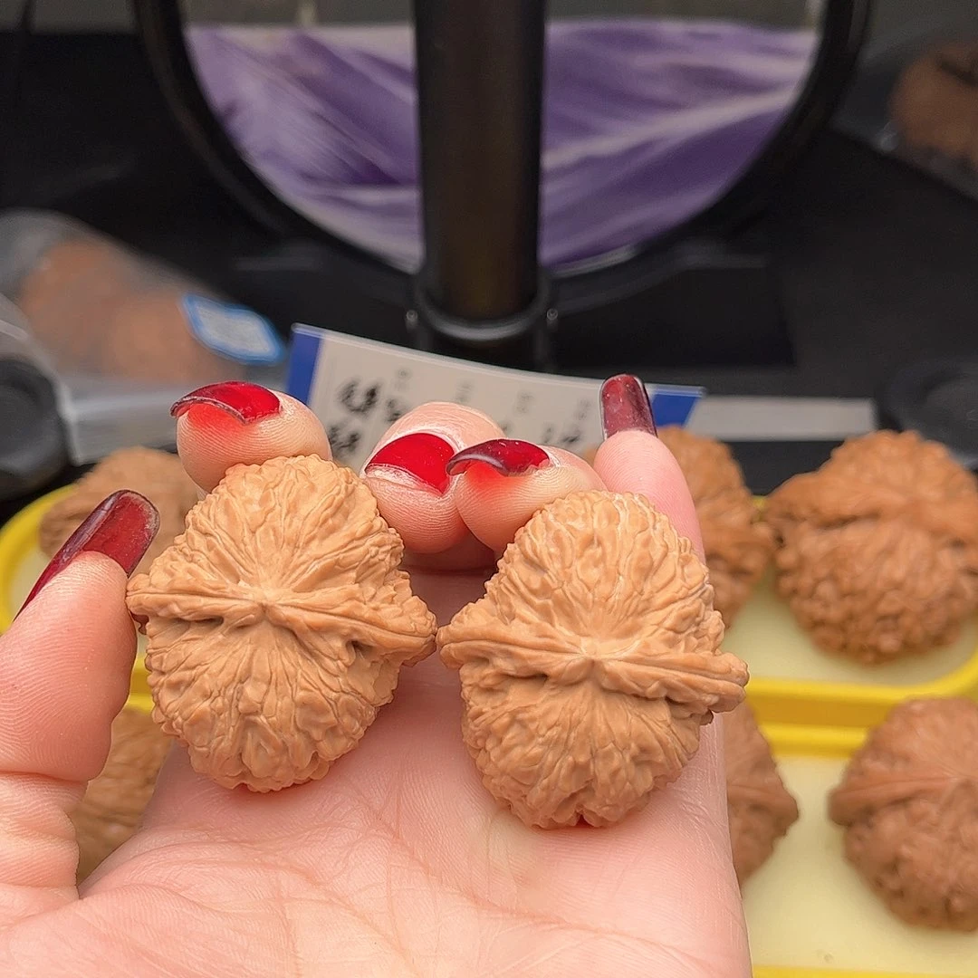 文玩核桃把件白狮子全品37