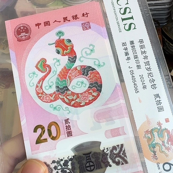 塑料全新的尾81………………标十…………