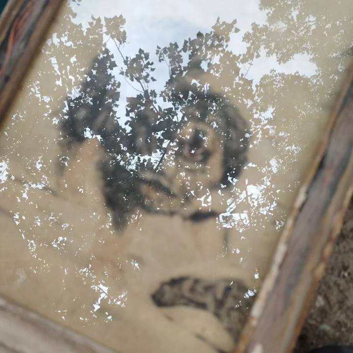 茶壶底槽青缼*眼