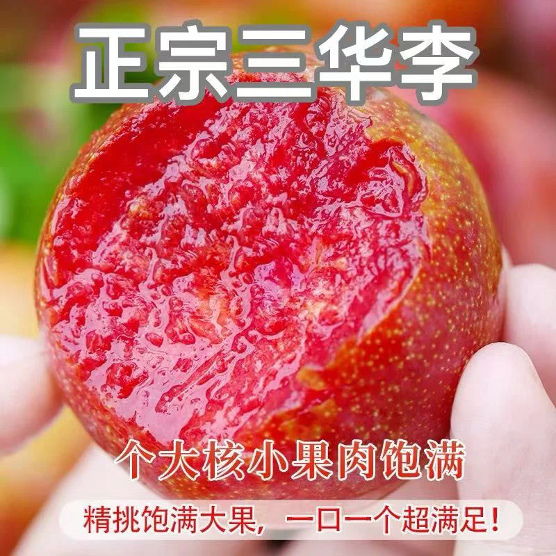 正宗钱排银妃三华李红心李酸甜脆口孕妇水果新鲜采摘精品高山果