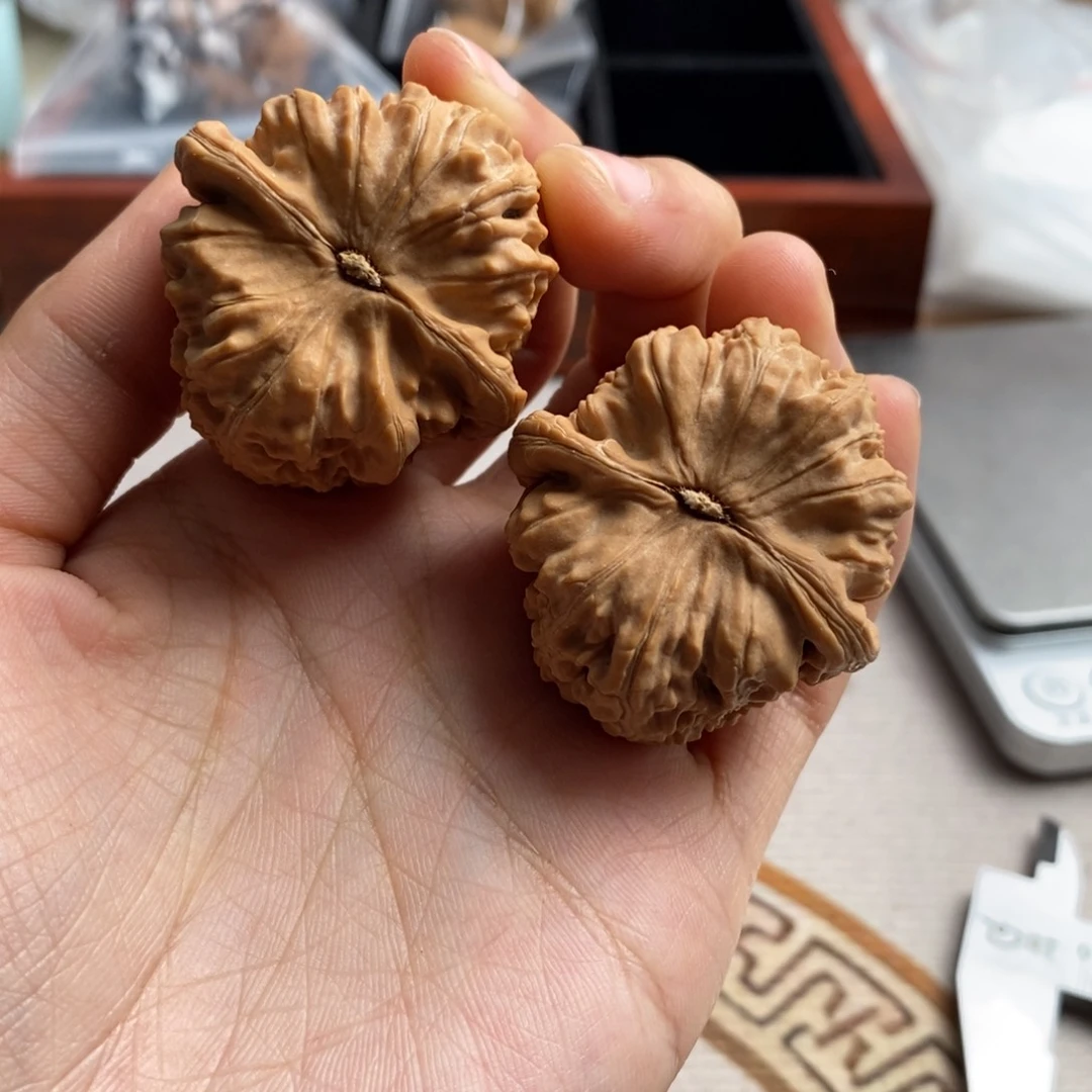 文玩核桃吊坠明*白狮子