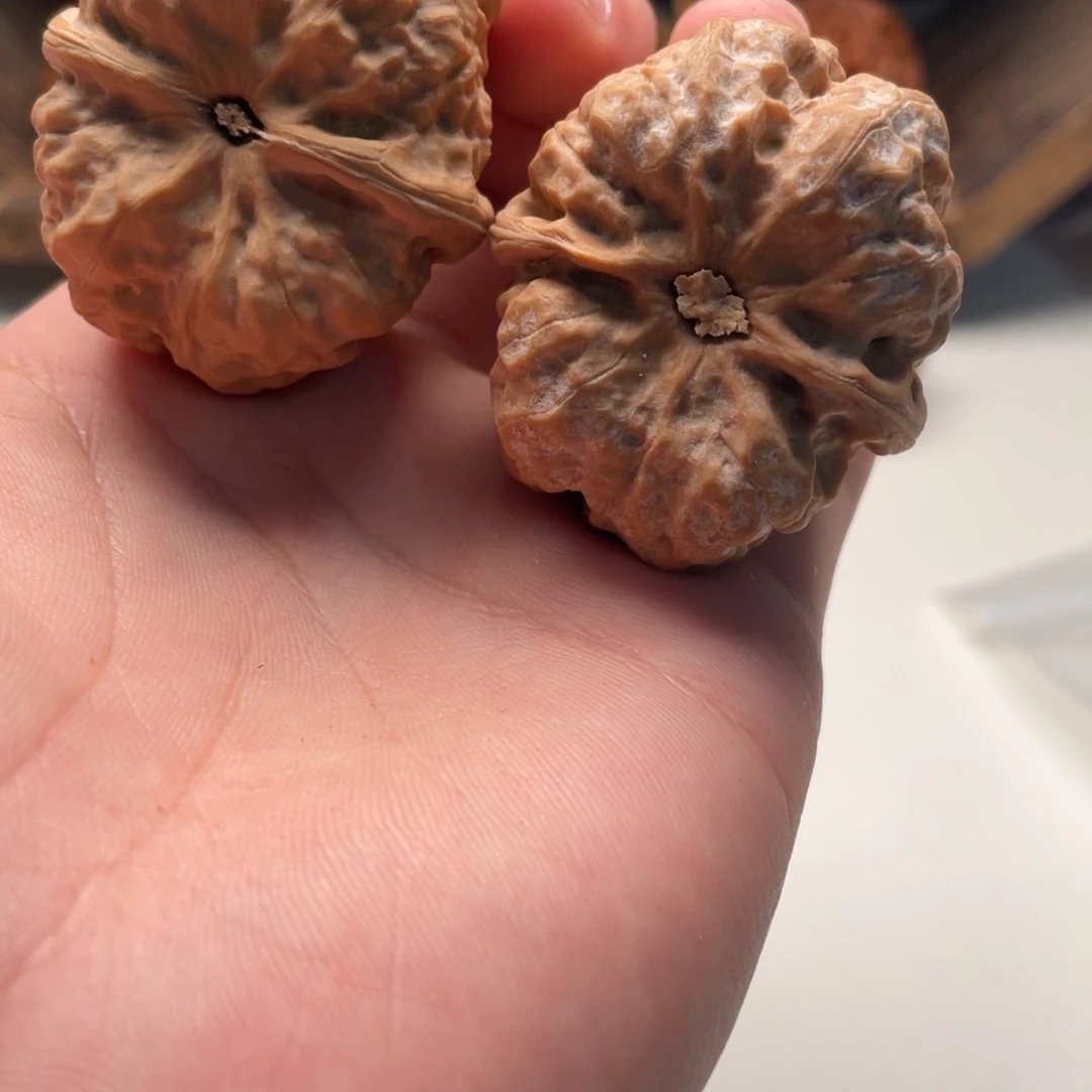 嘻***大叶紫檀（黑酸枝木类）蛤蟆头文玩C21