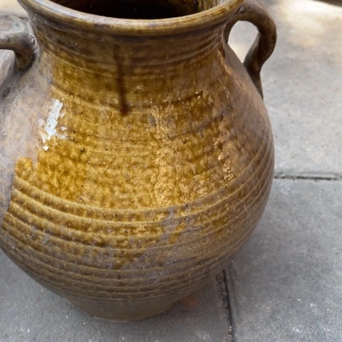 种草种菜种花种花种花