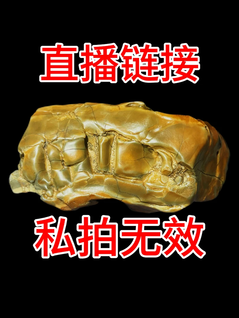 阿拉善天然戈壁原石高端盆景石纯天然摆件石头奇石