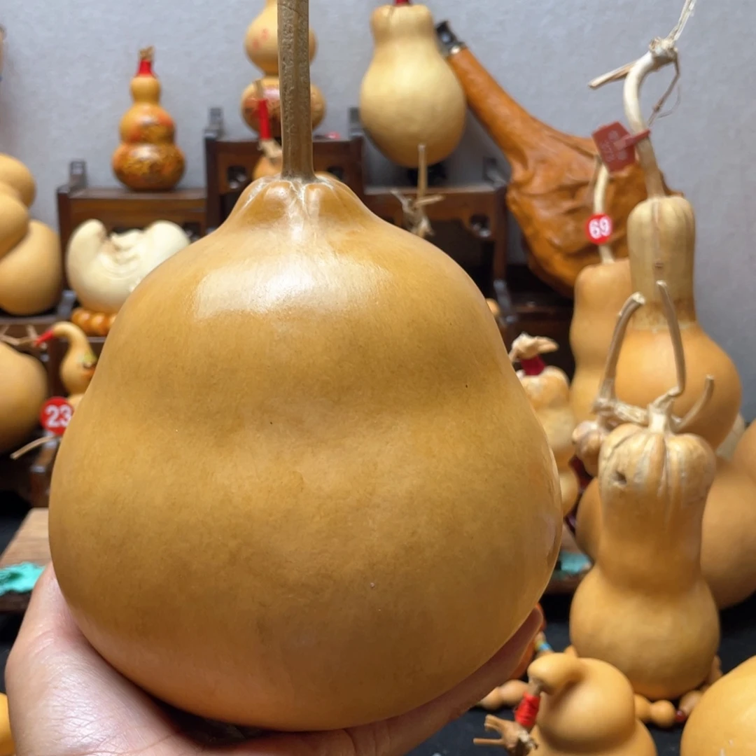 舍*大自然的秘密第十一节的