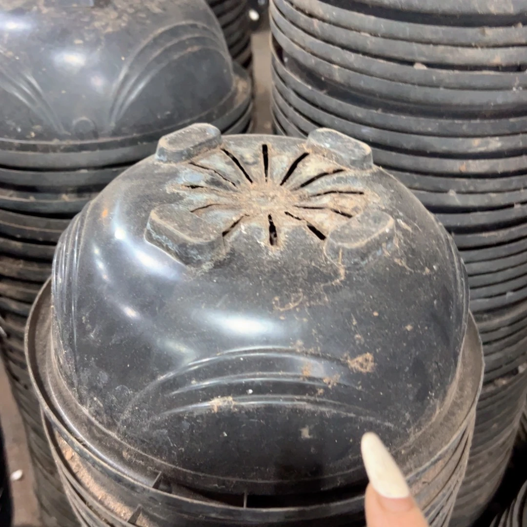 黑吊兰盆21口径10高 15个