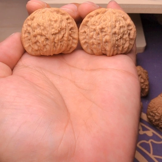 文玩核桃把件白狮子