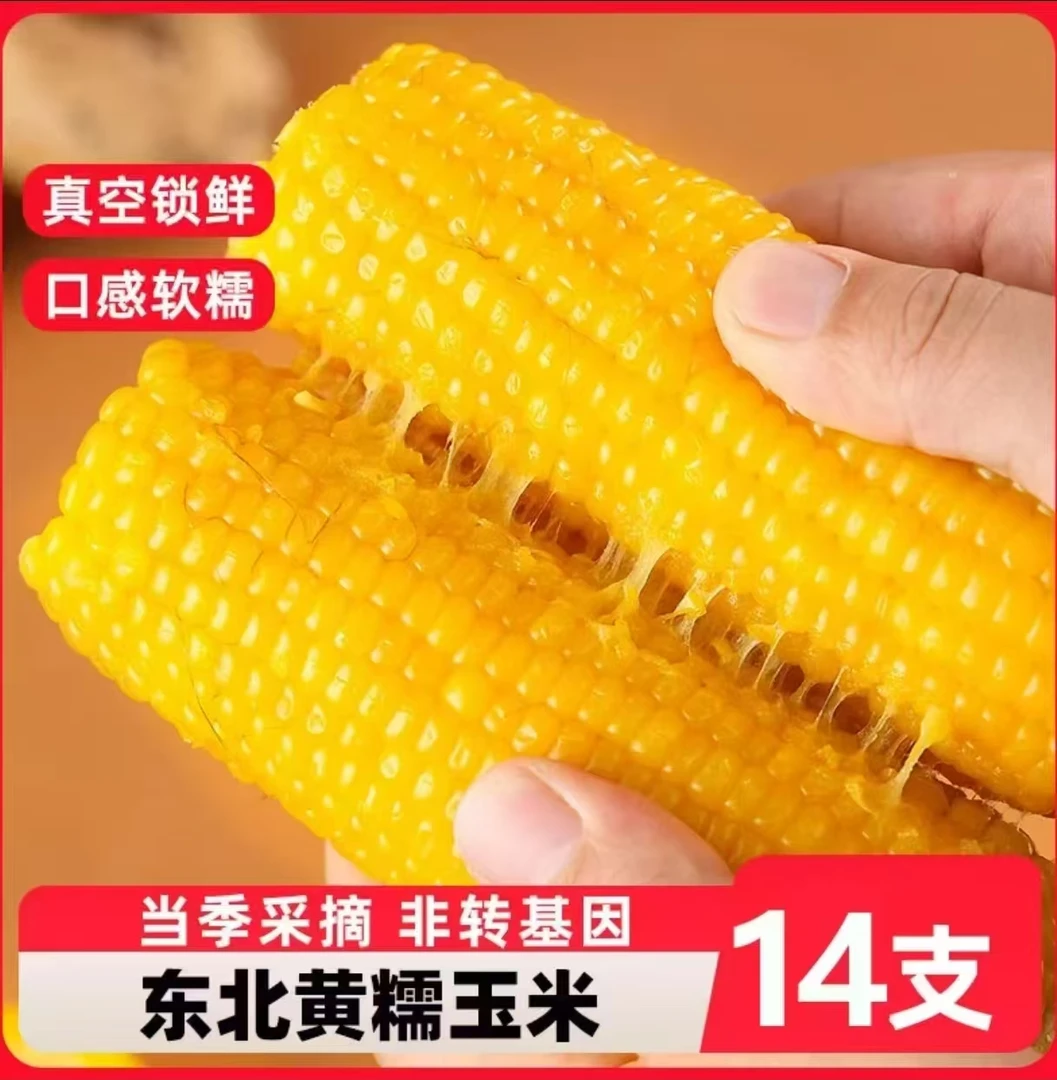 【试吃5棒】东北25年头茬黄糯玉米240克-280克14棒整箱7.5-8斤 E