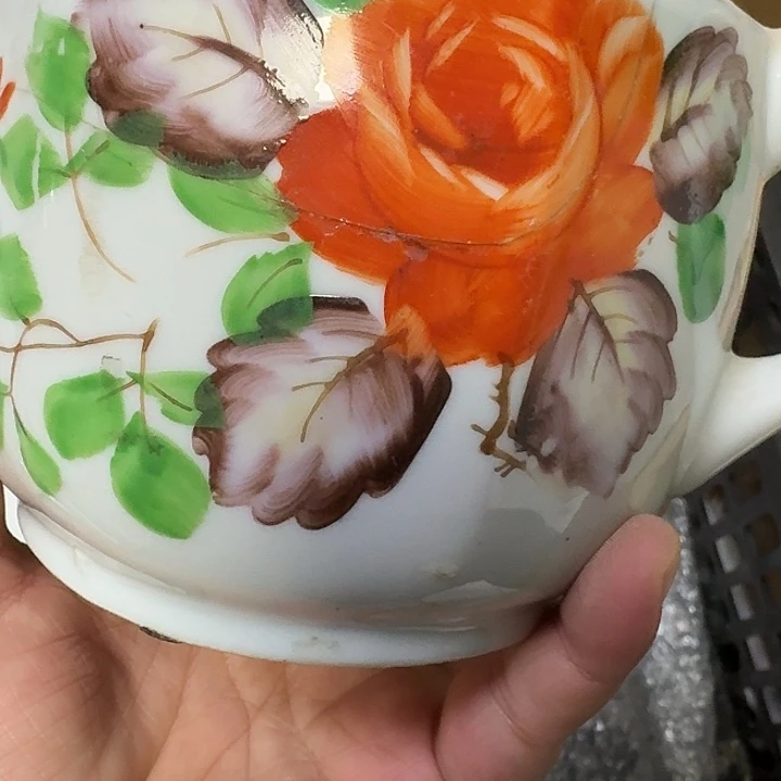 林***）标本壶有线非完整