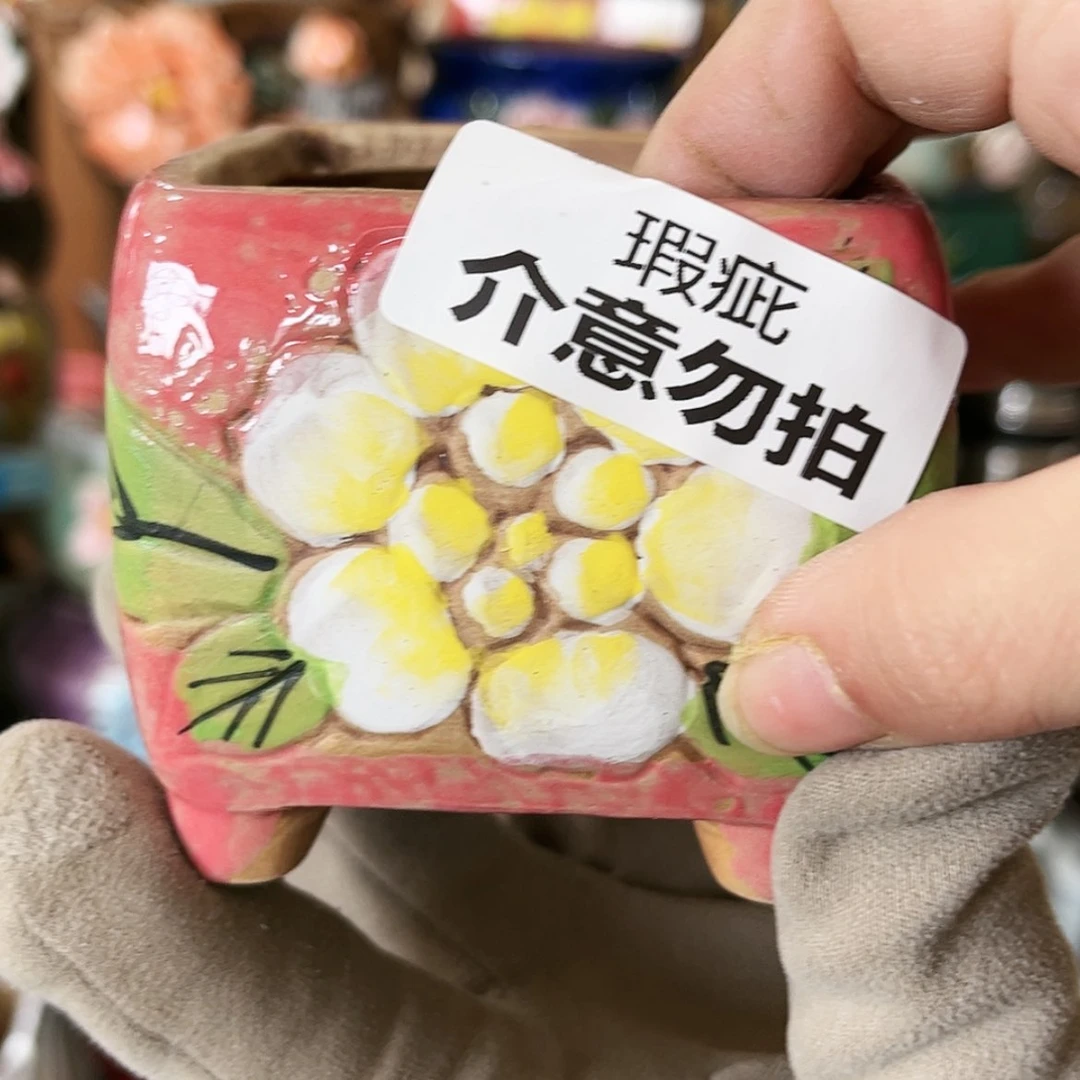 【闪购商品】红陶福利