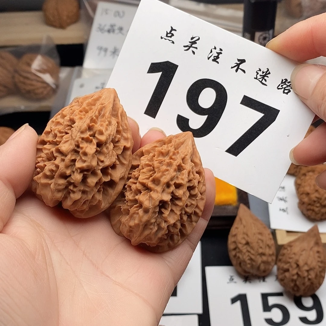 核桃38招财鼠。