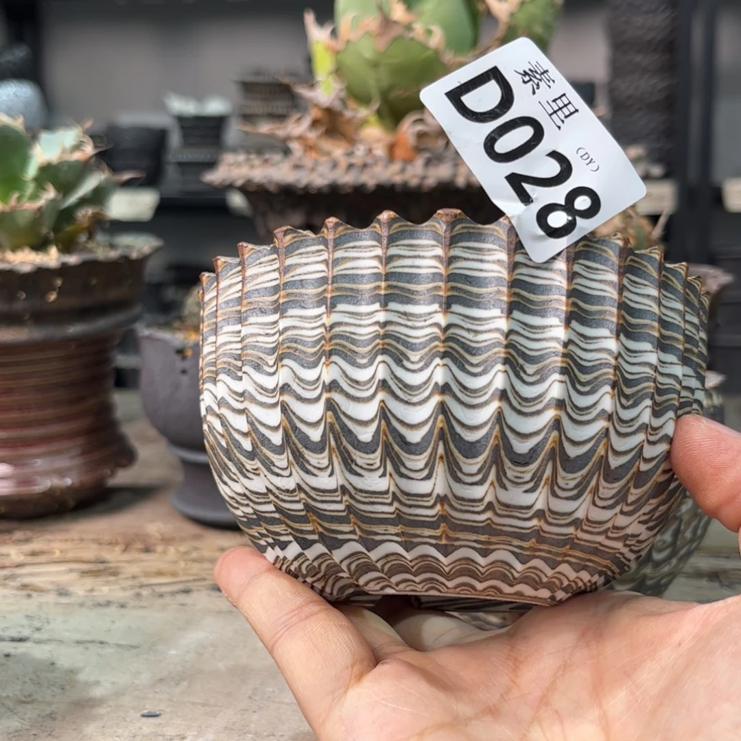 大***哥陶把b吧吧吧吧吧吧吧吧吧吧