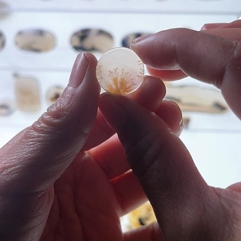 【闪购商品】玛瑙/玉髓珠宝半成品未镶嵌◦****?