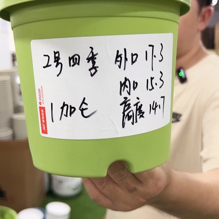 四季2号特价混色10个无托