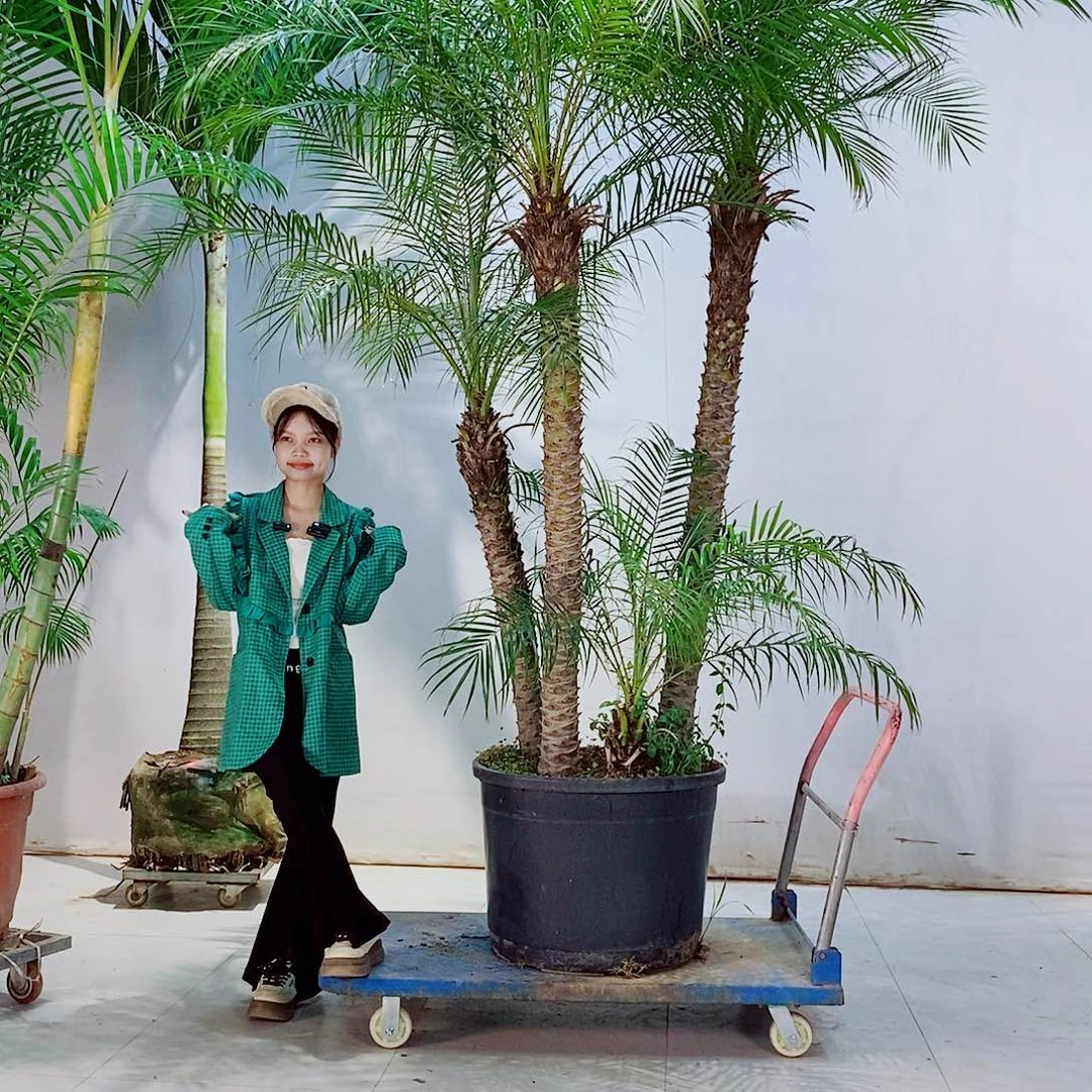 微*5678987556789865