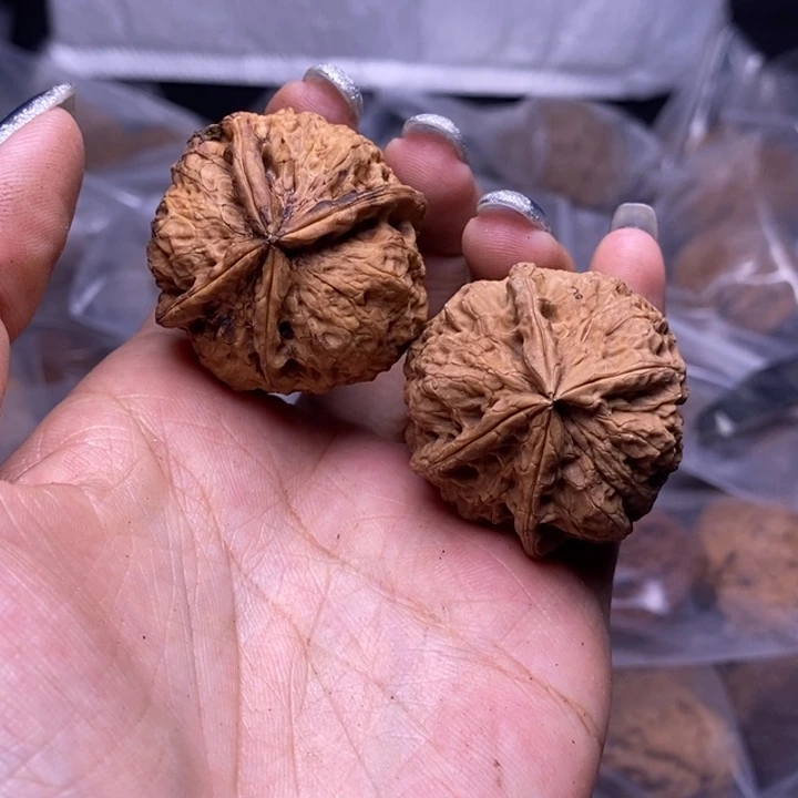 核桃云南野生铁核桃79号35mm