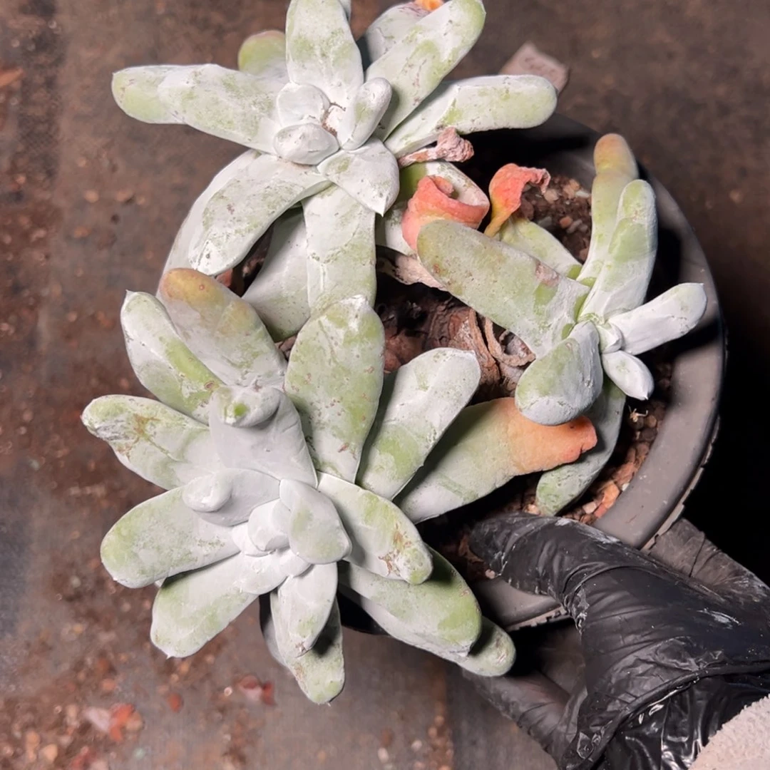 8289哈哈哈哈哈哈哈哈