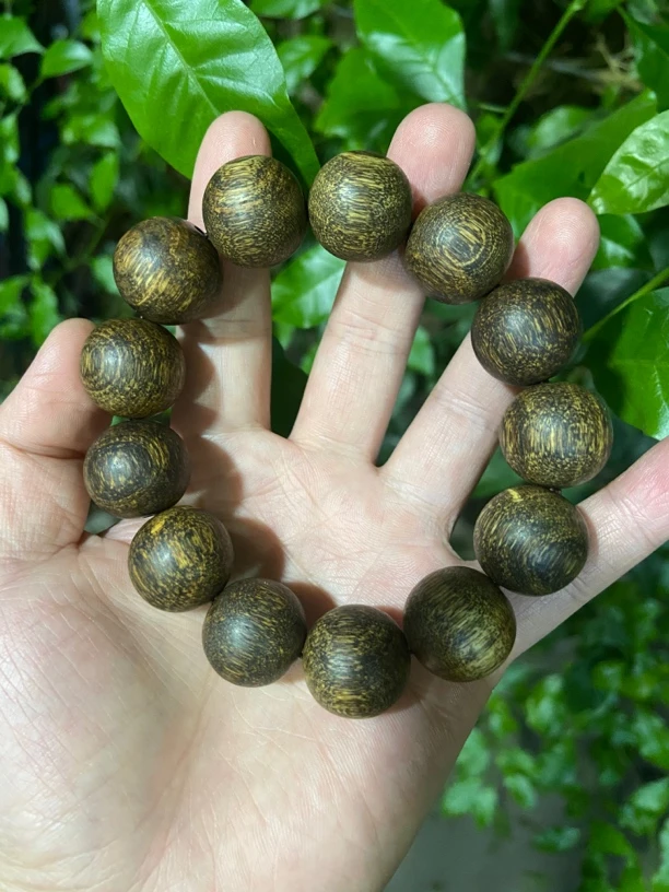 【土特产菇101】净含量30g起