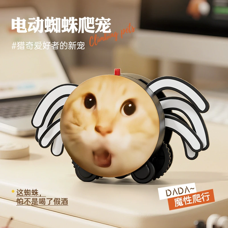 耄耋搞怪抽象会爬行猫咪电动蜘蛛趣味学生解压玩具