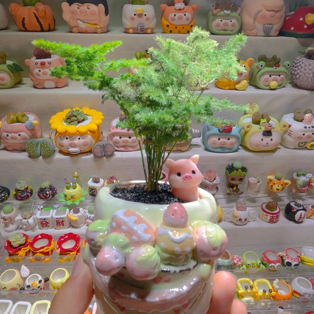 033高端绿植带盆土一套58