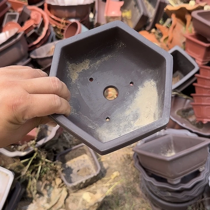 这几位朋友在做一年后