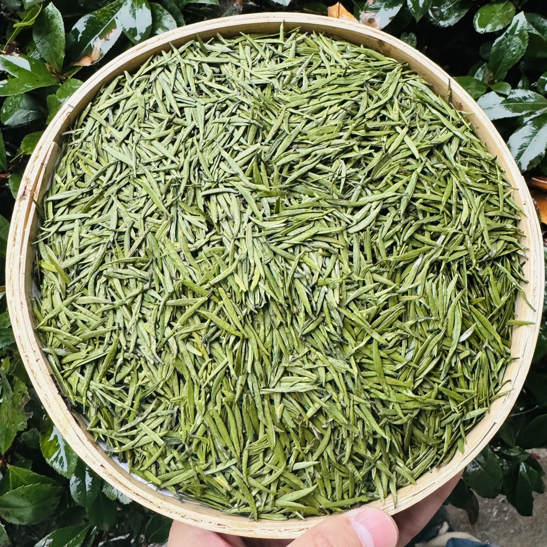 高山 农家 龙潭雀舌B1