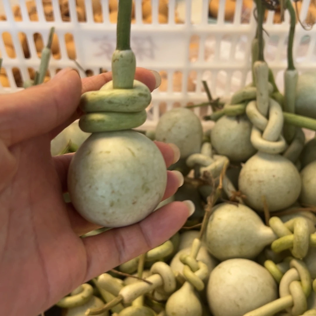 w****p一物一拍一物一拍