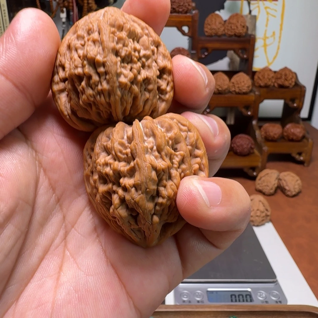 超***哥道哥俱乐部f虎头王42