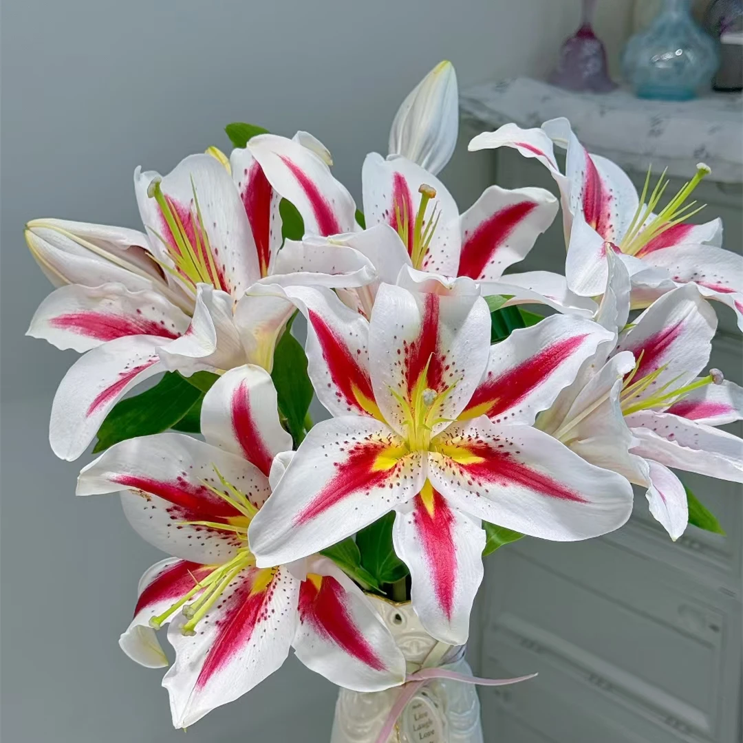 云南基地直发笑脸香水百合有香味水培鲜花
