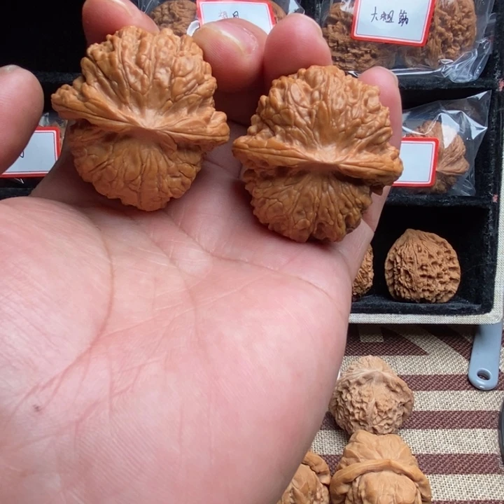 全品血麒麟42尺寸