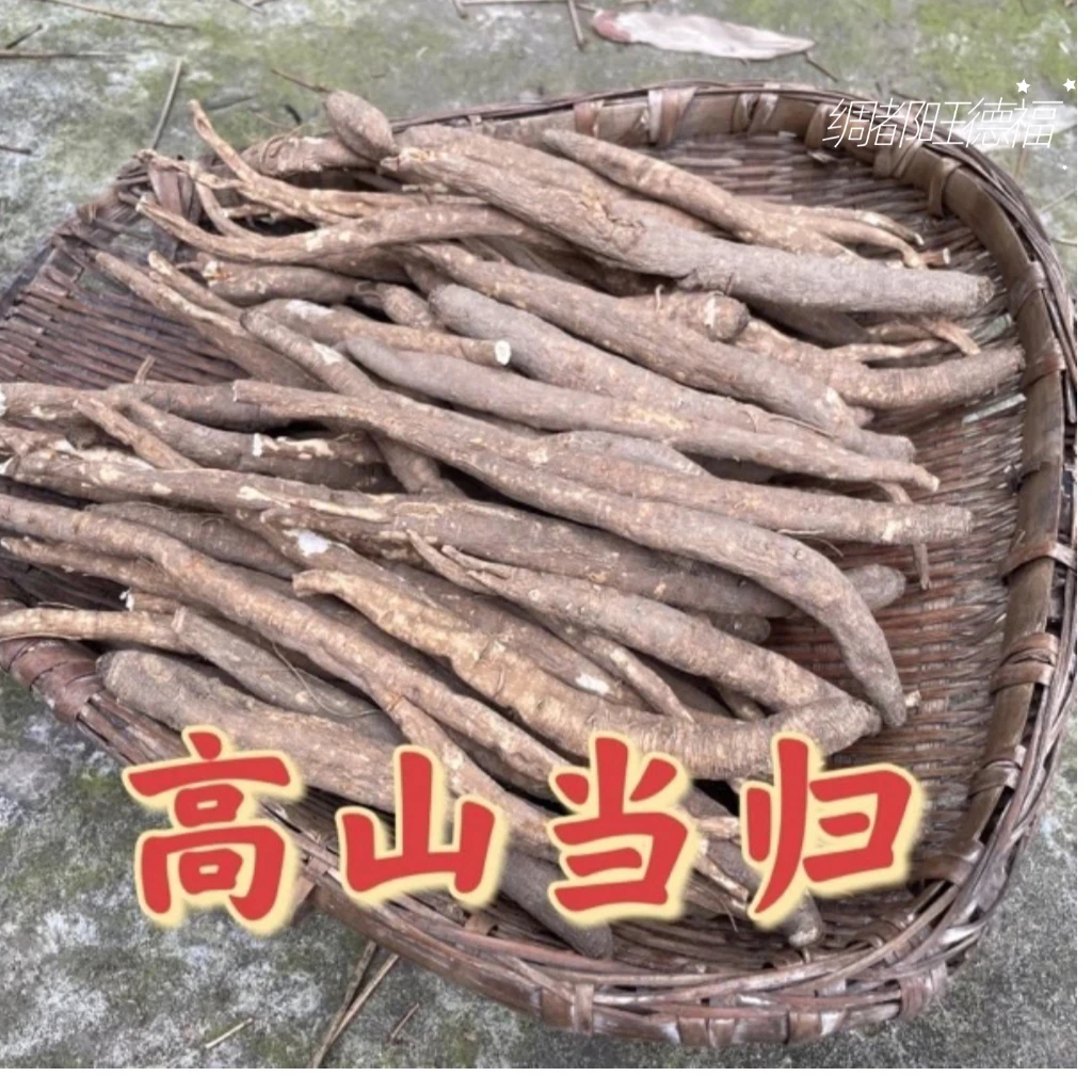 四川当归 现收藏当归 高海拔粉糯香甜好吃