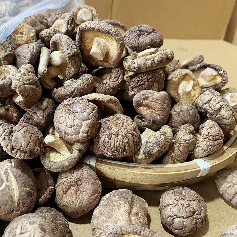 香菇干货 新货 肉厚香菇煲汤蒸肉