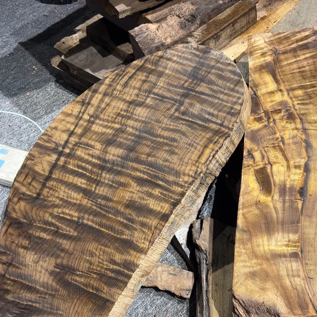 多***鱼阴沉木金丝楠阴沉木原材料