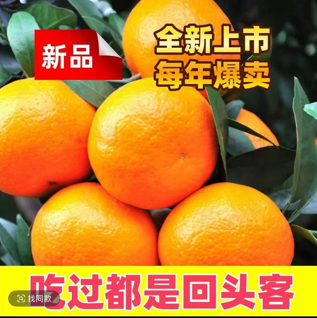五斤装金秋砂糖橘自家果园产皮薄多汁 水多新鲜