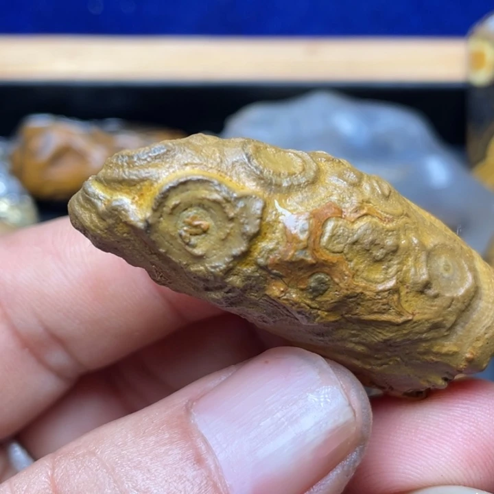 石材纯天然原石奇石278