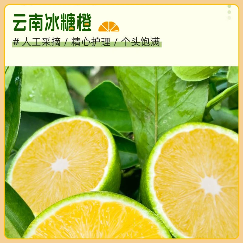 【头茬果】正宗云南高山哀牢山青皮冰糖橙新鲜橙子水果香甜整箱包邮