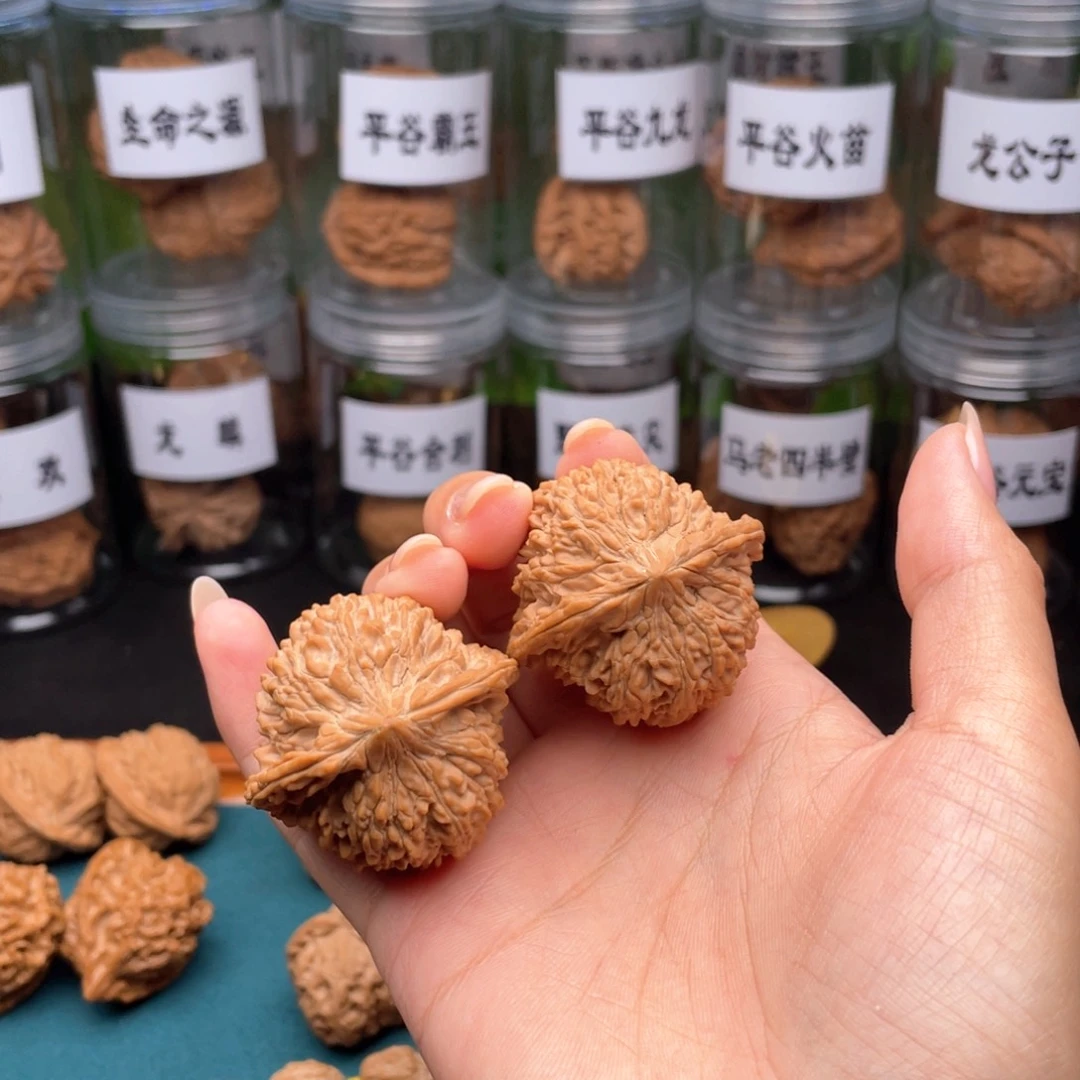 青***竹桃木41尺全品满天星