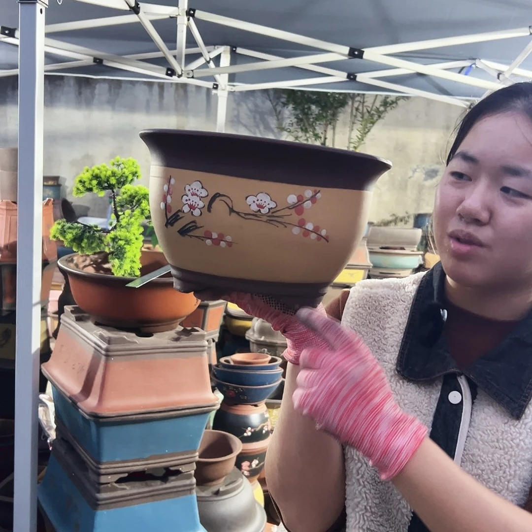 005小号一个花盆花盆花盆