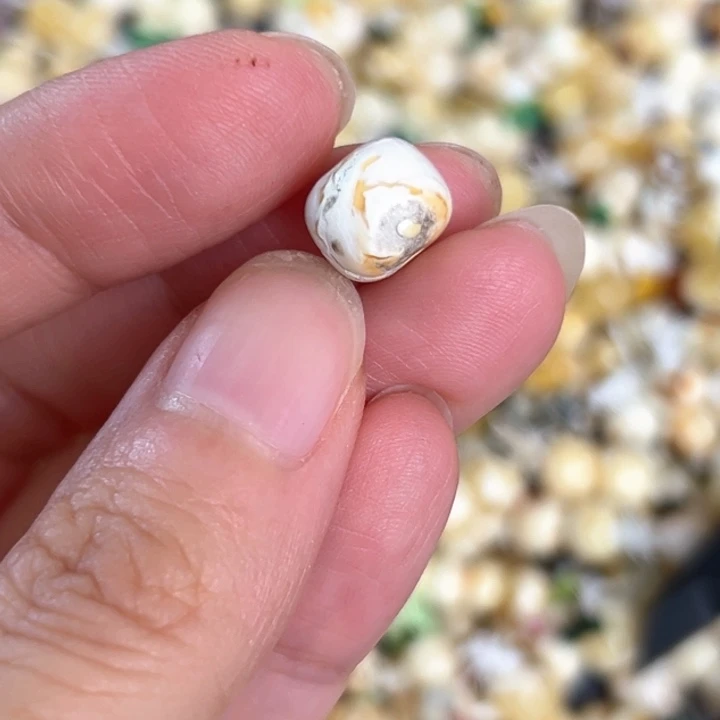 未镶嵌蜜蜡裸石9.7mm一个