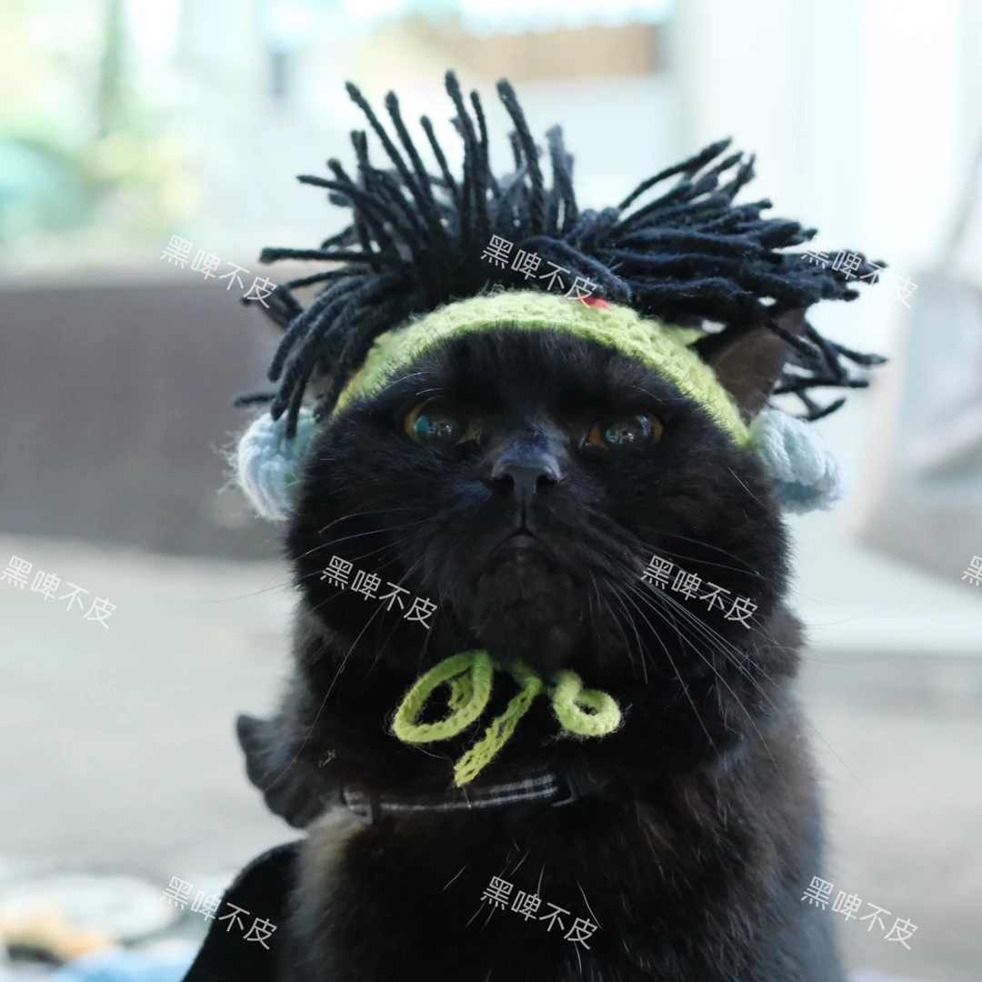 宠物帽子朋克风炫酷杀马特