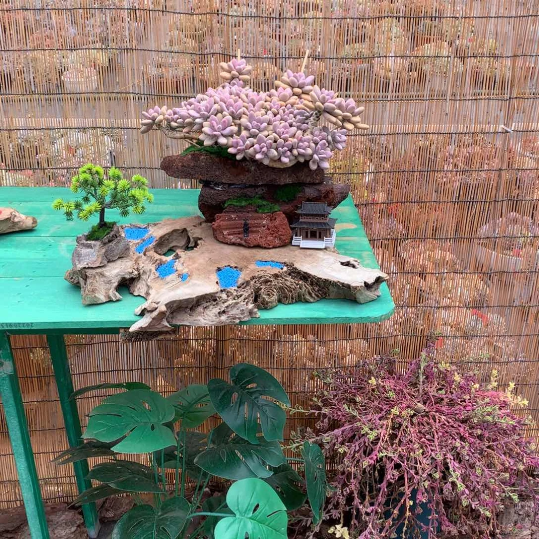 慧***慧点点滴滴都多大的多大