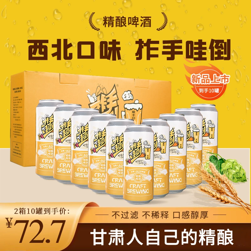 10°P精酿德系白啤500mL 2箱（10罐）