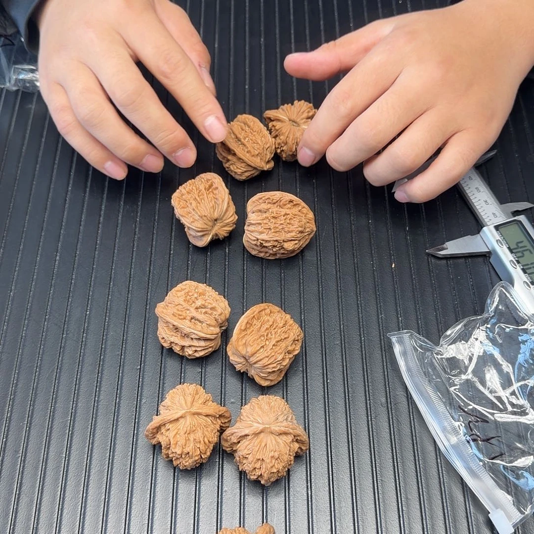 文玩核桃把件石子楼66 42尺