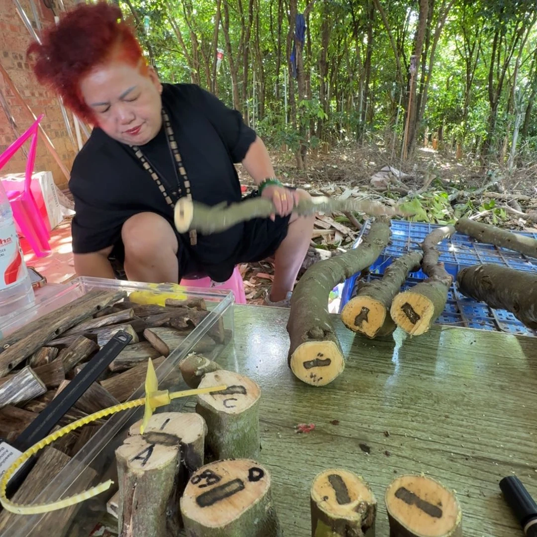吴***虑线香奇楠沉香原木