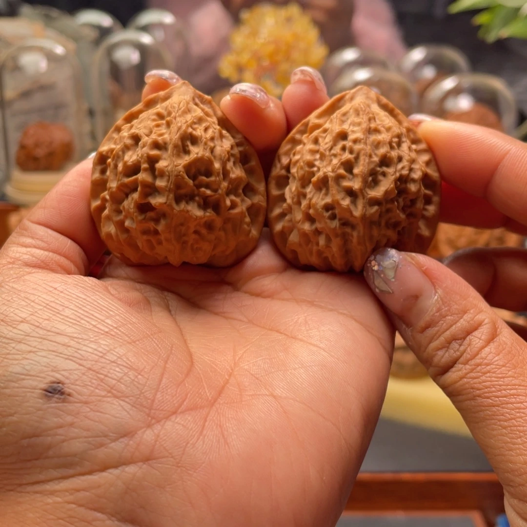 明***片文玩核桃把件金牛41